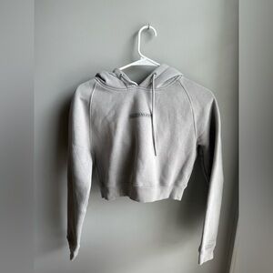 Alphalete Women's Light Gray/blue Cropped Hoodie